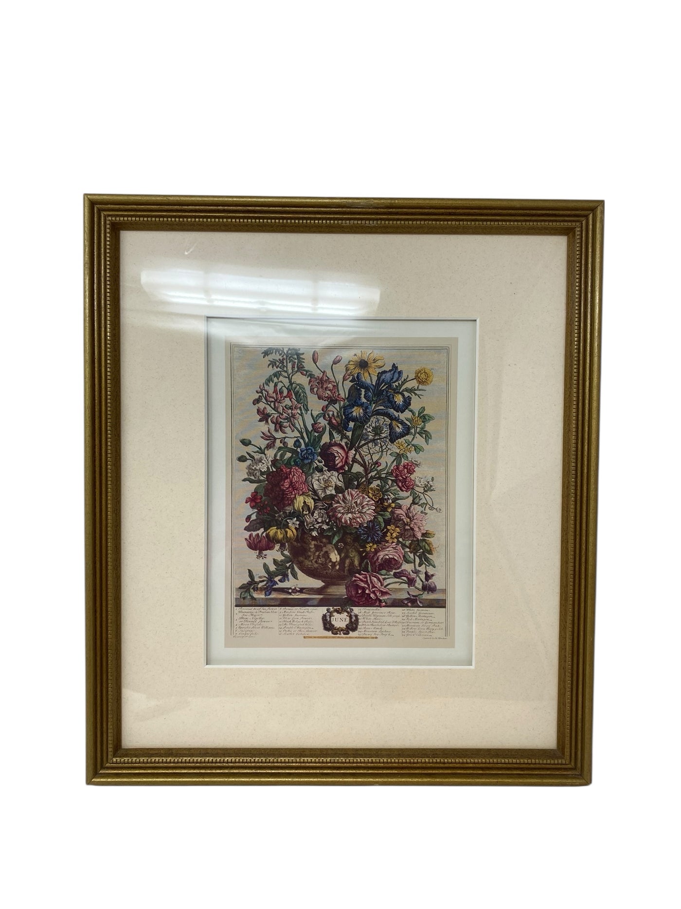 Framed Art
